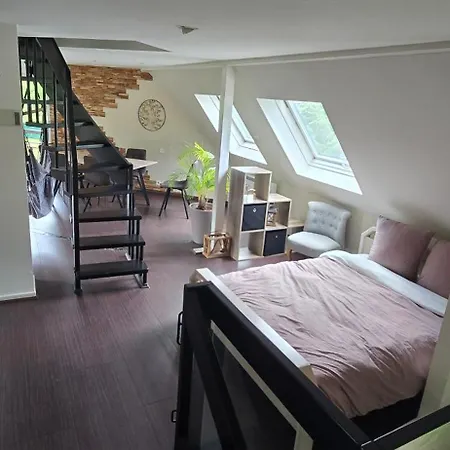 公寓 Loft Dans La Nature Kaltenhouse